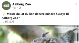 “반려동물 기증 받아 맹수 먹이로 활용” 공지한 동물원…국제적 논란